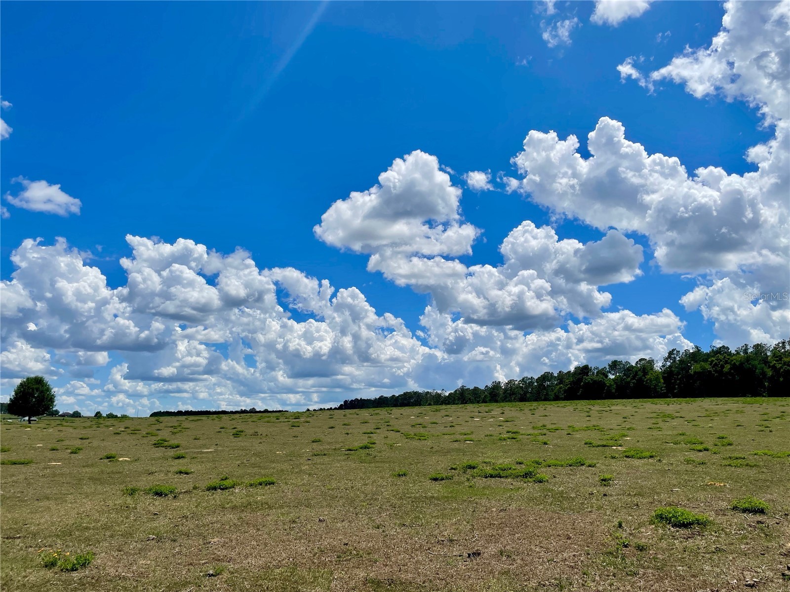 Parrish Grove Road Dade City FL 33523 U8165473 image12