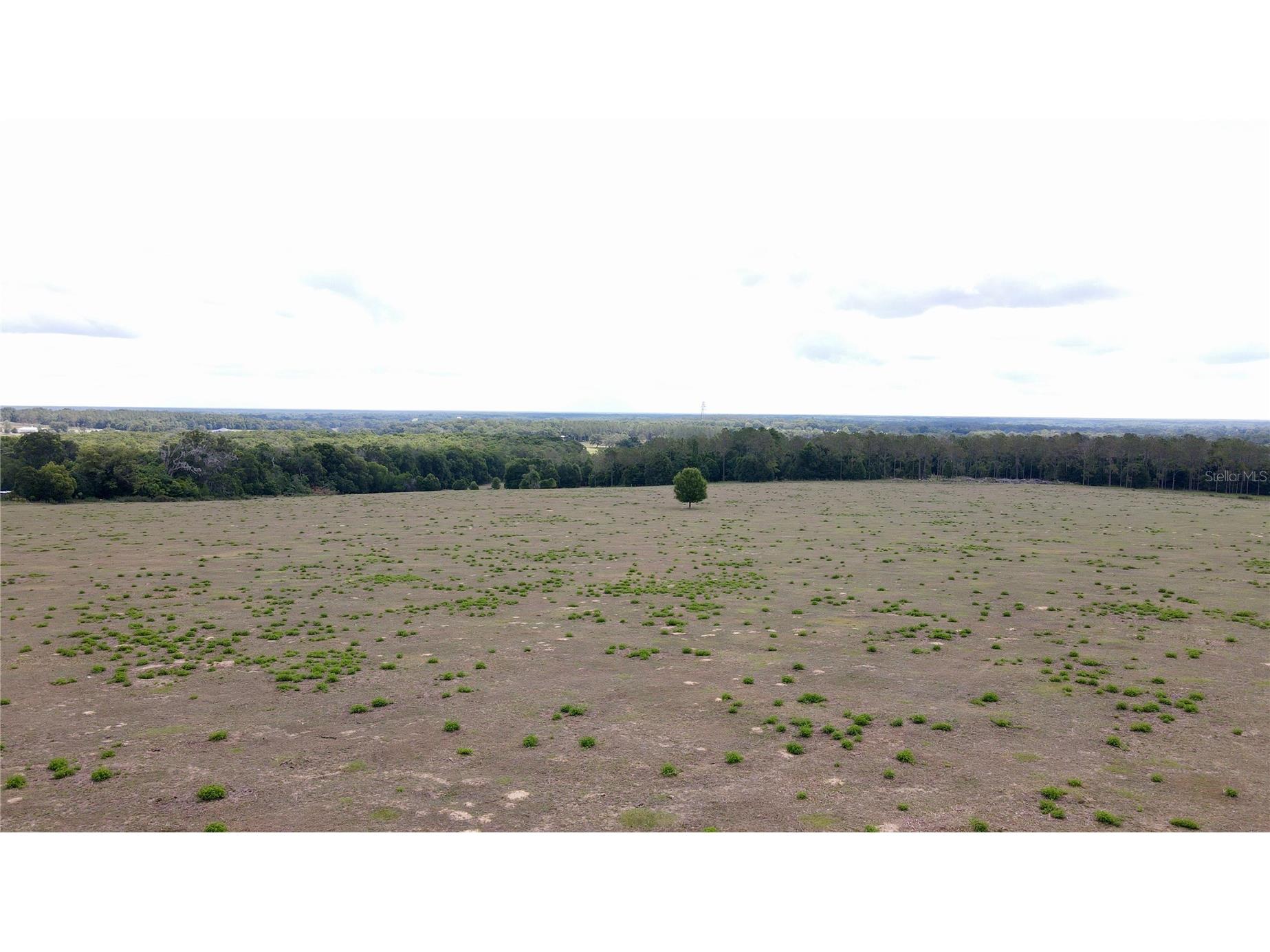 Parrish Grove Road Dade City FL 33523 U8165473 image14