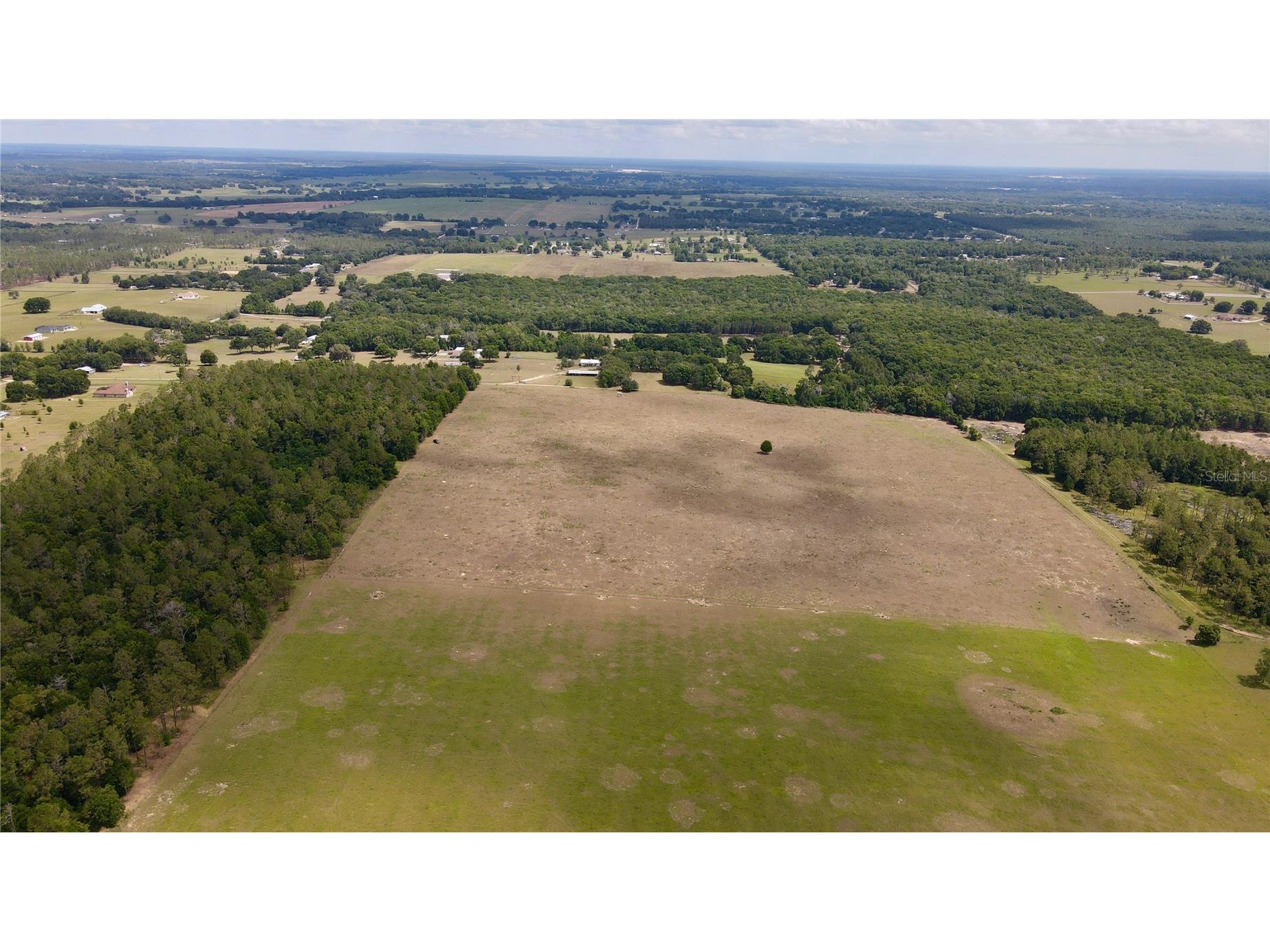 Parrish Grove Road Dade City FL 33523 U8165473 image17