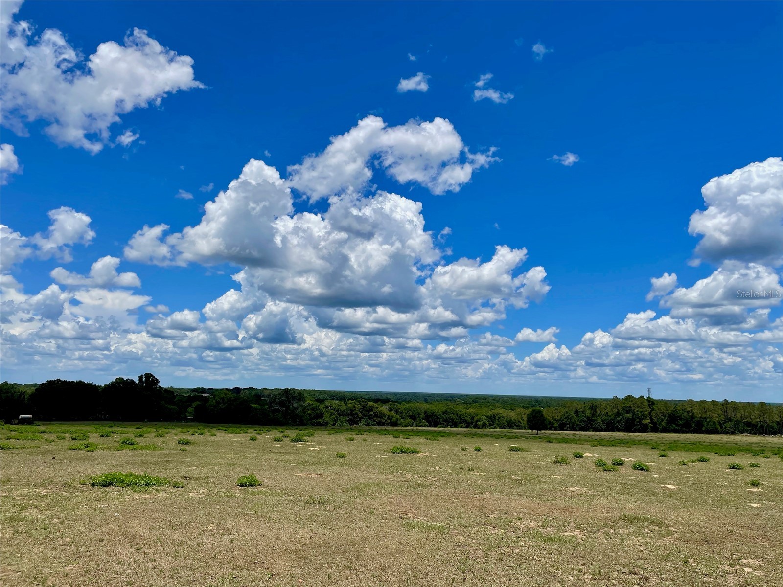 Parrish Grove Road Dade City FL 33523 U8165473 image2