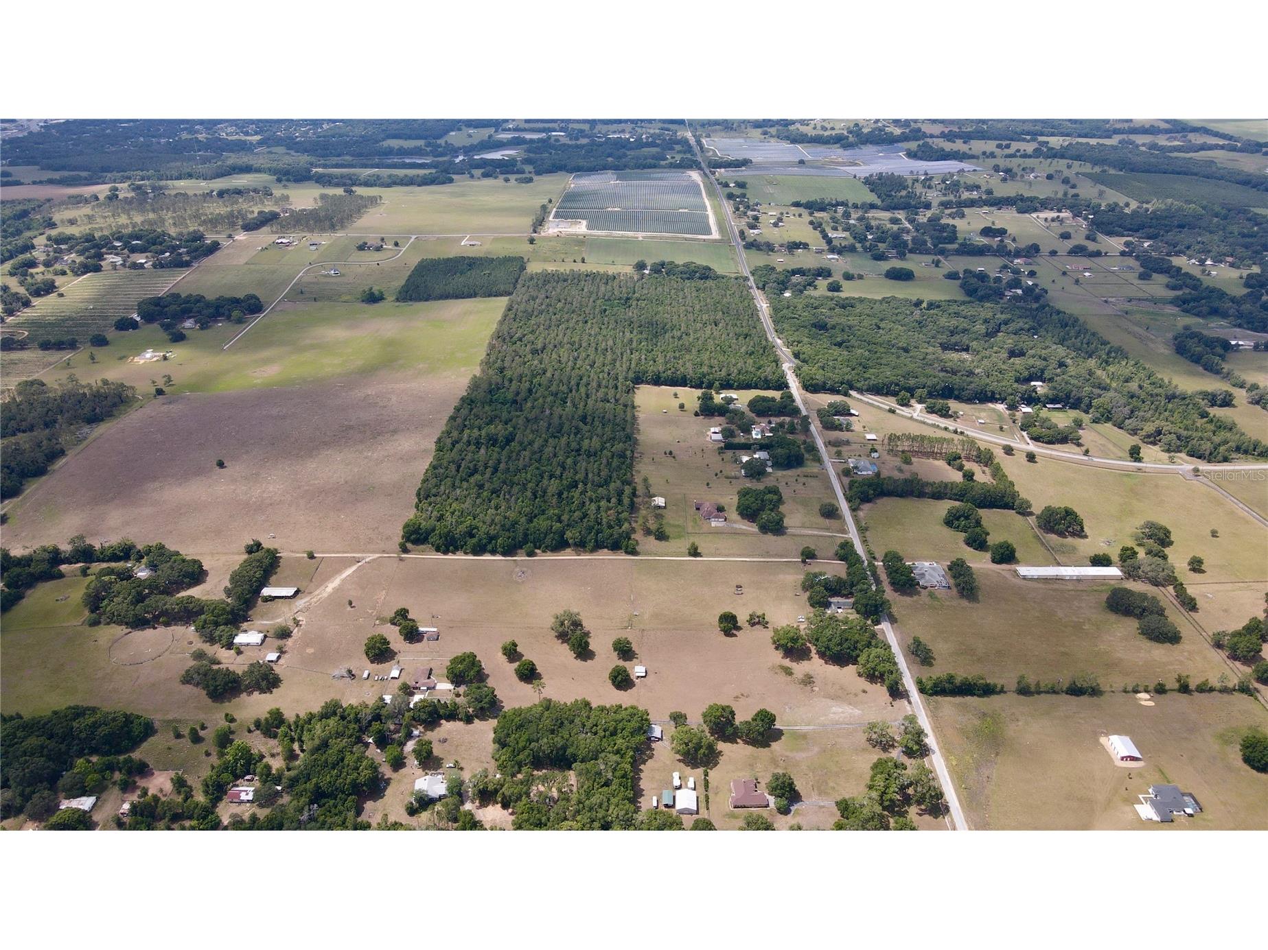 Parrish Grove Road Dade City FL 33523 U8165473 image20