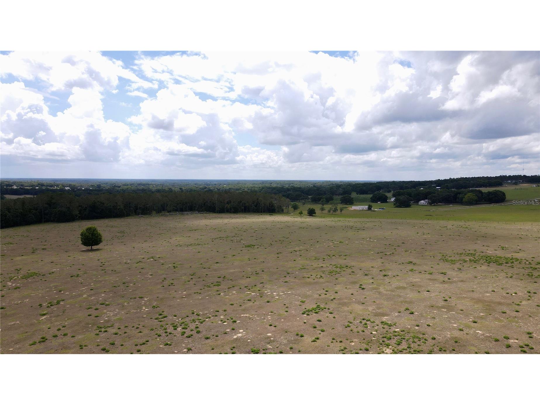 Parrish Grove Road Dade City FL 33523 U8165473 image22