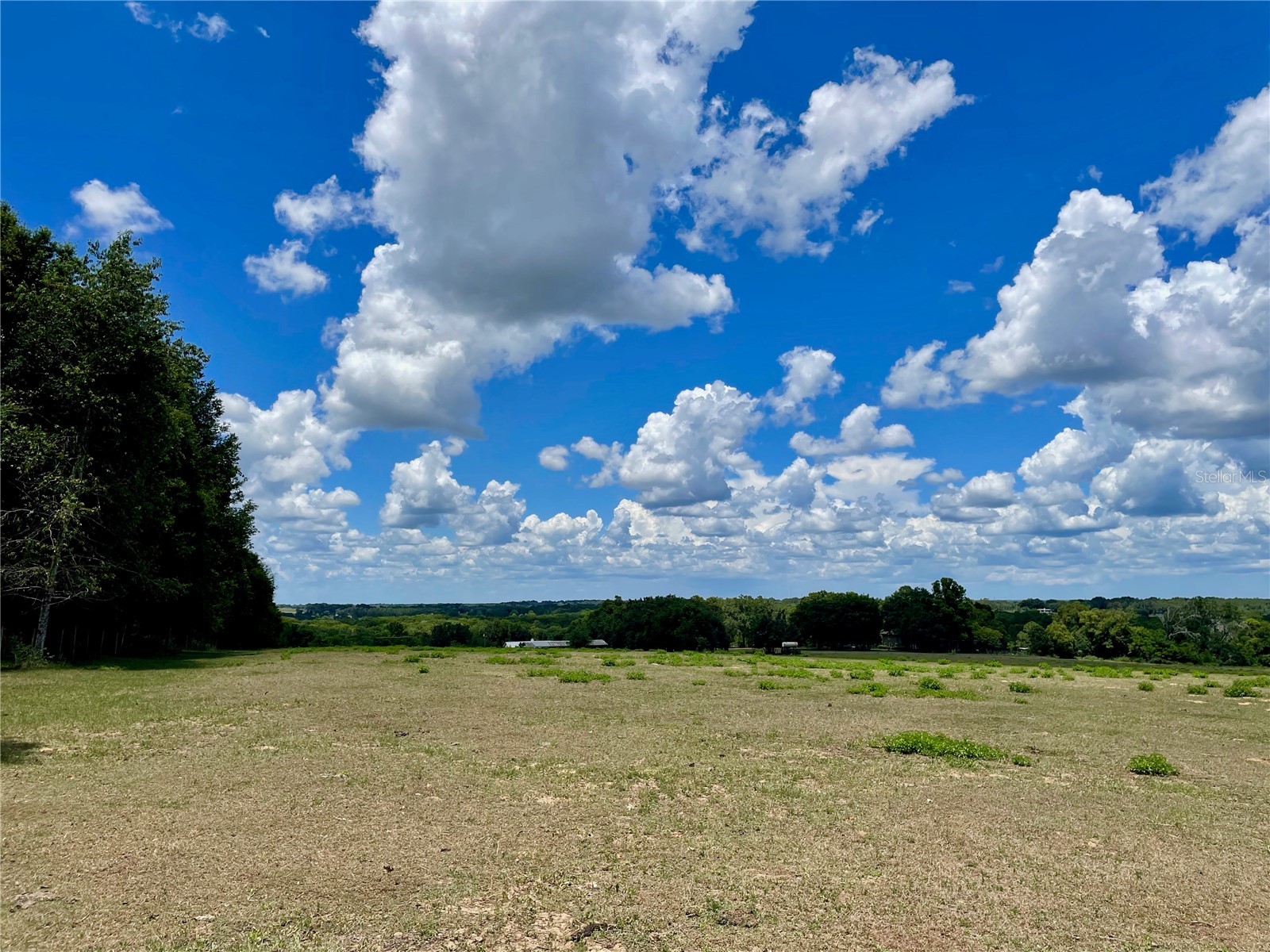 Parrish Grove Road Dade City FL 33523 U8165473 image3