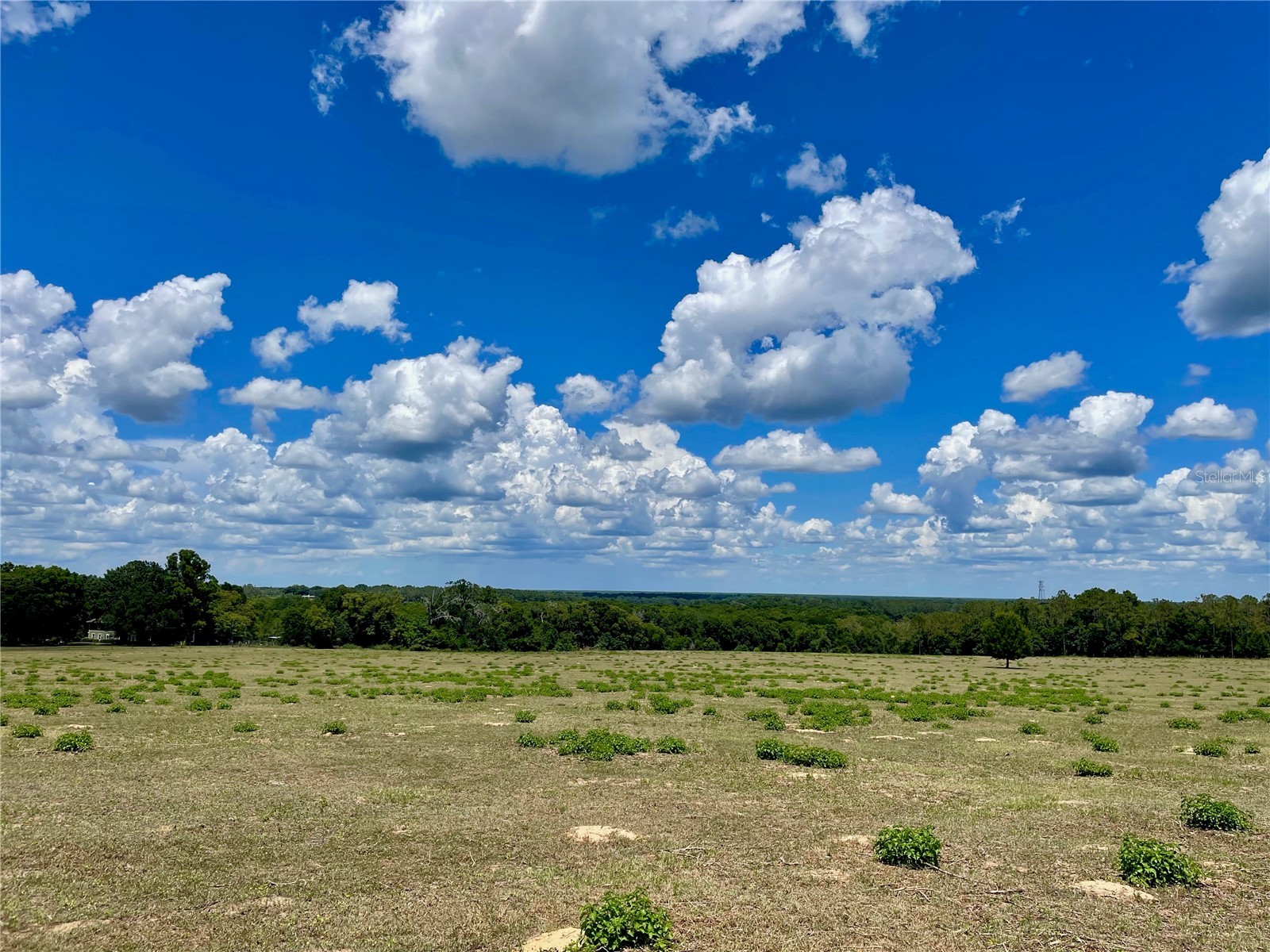 Parrish Grove Road Dade City FL 33523 U8165473 image4