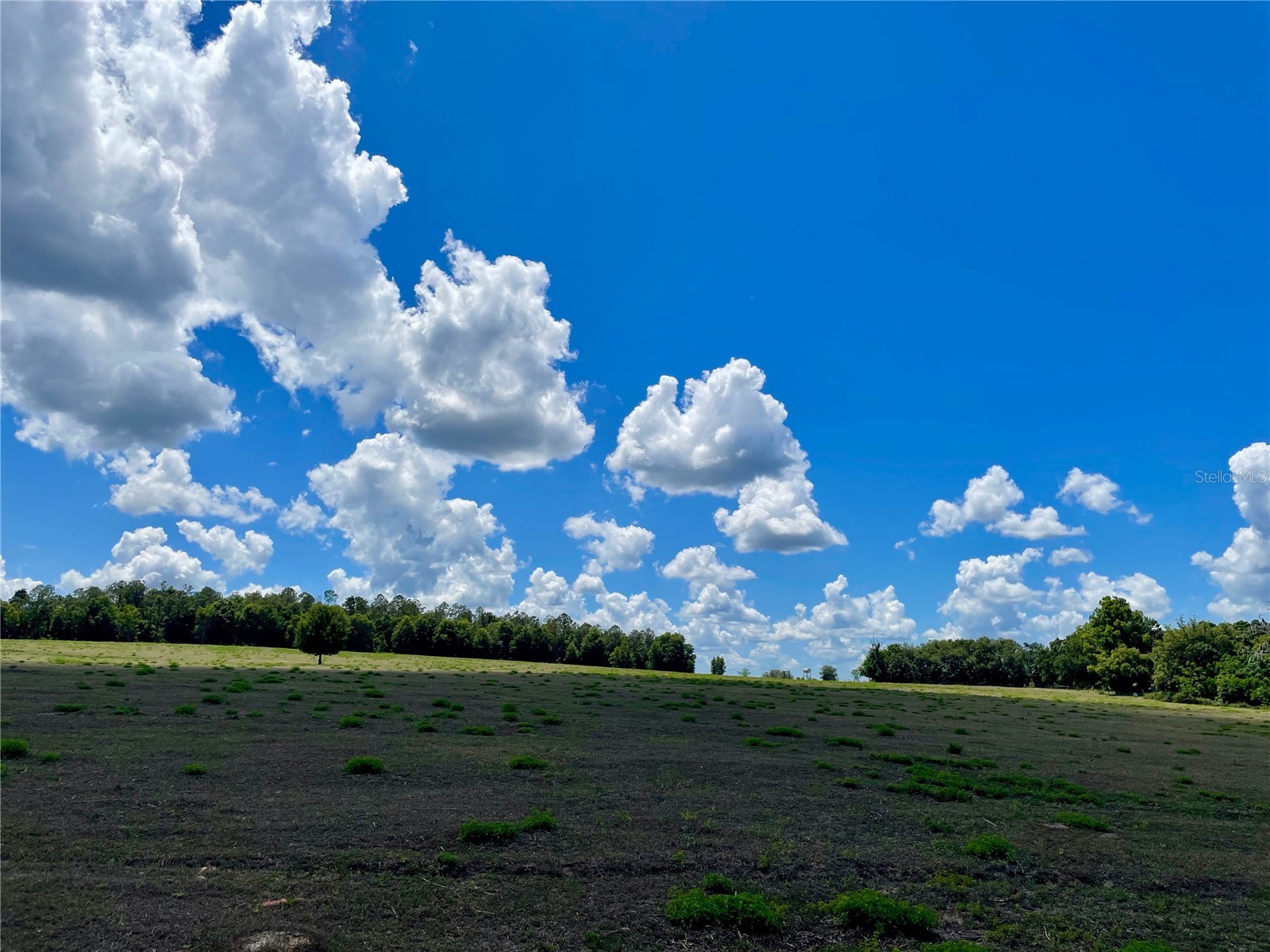 Parrish Grove Road Dade City FL 33523 U8165473 image5