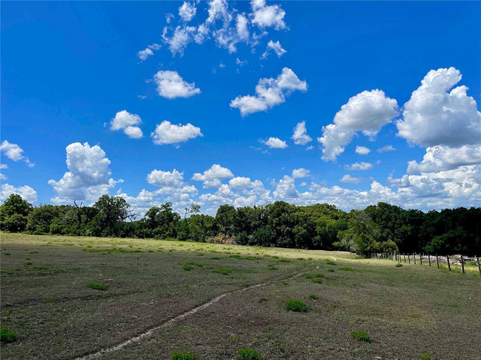 Parrish Grove Road Dade City FL 33523 U8165473 image6