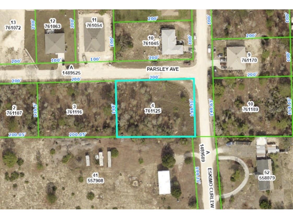 Parsley Avenue Weeki Wachee FL 34614 W7862060 image1