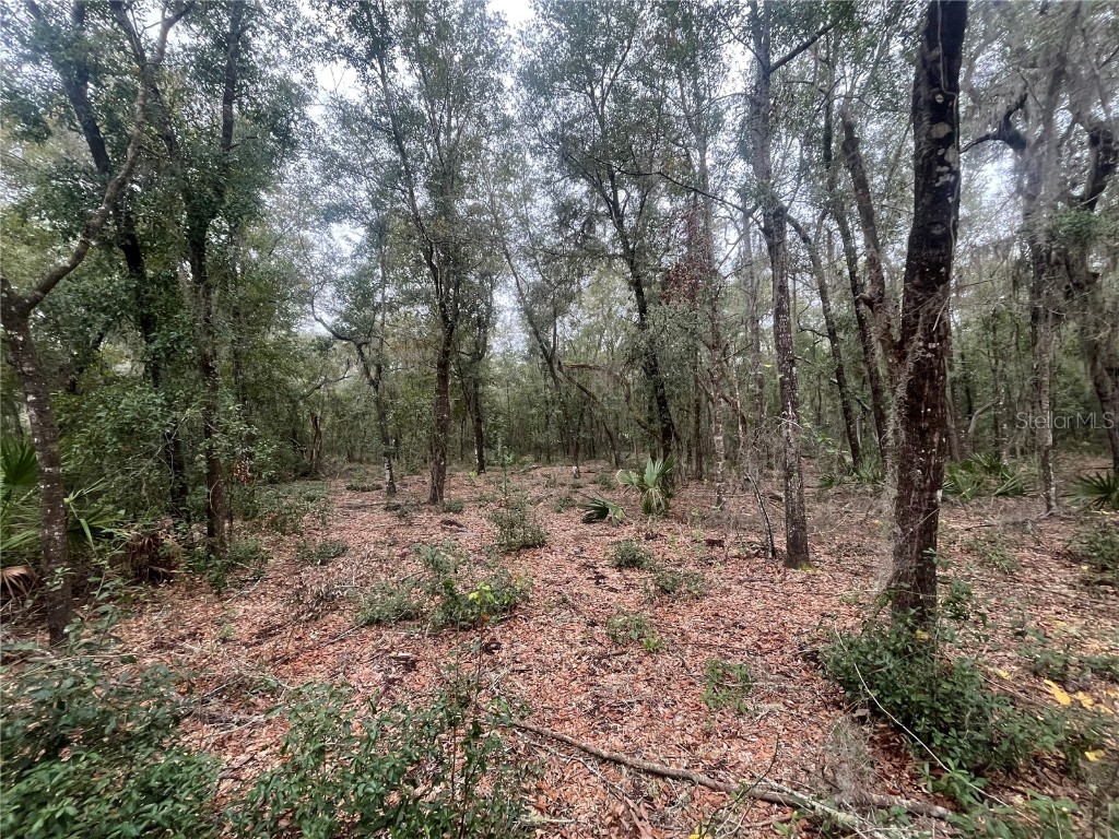 Pat Avenue Interlachen FL 32148 OK224762 image1