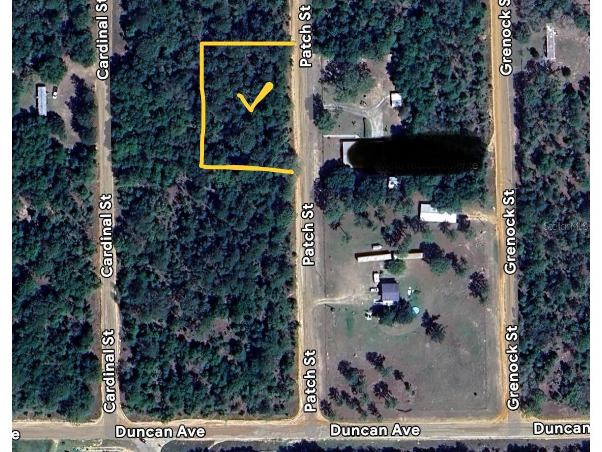 Patch St Interlachen FL 32148 O6370650 image1