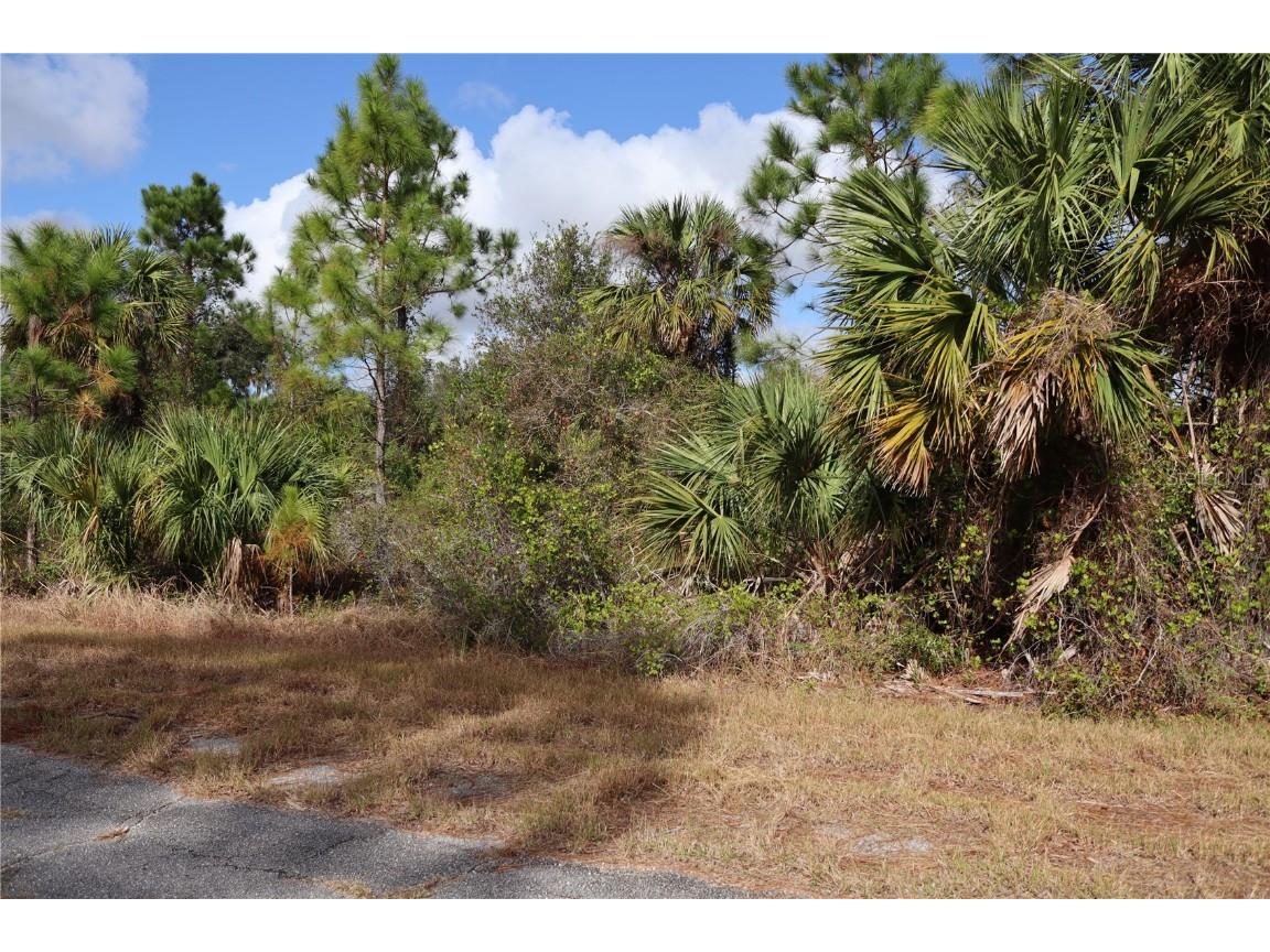 Patriot Circle North Port FL 34288 C7502109 image2