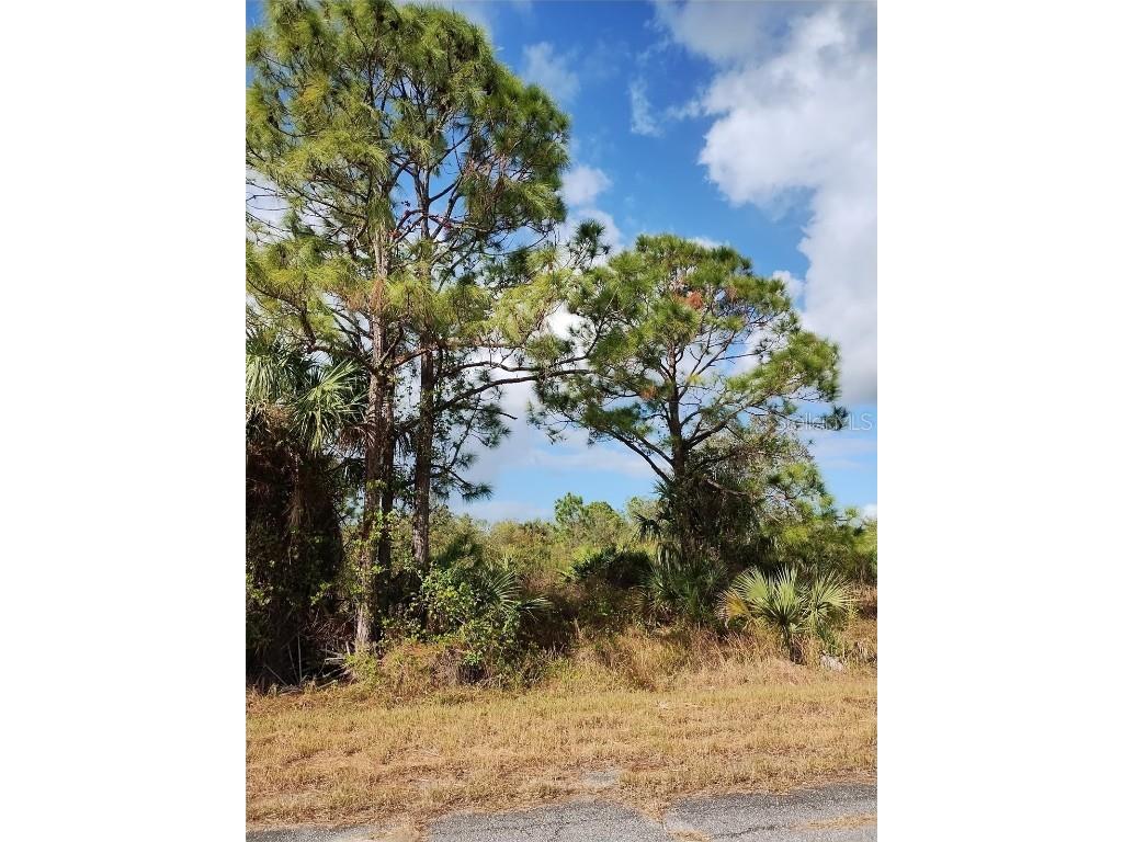 Patriot Circle North Port FL 34288 C7502109 image3