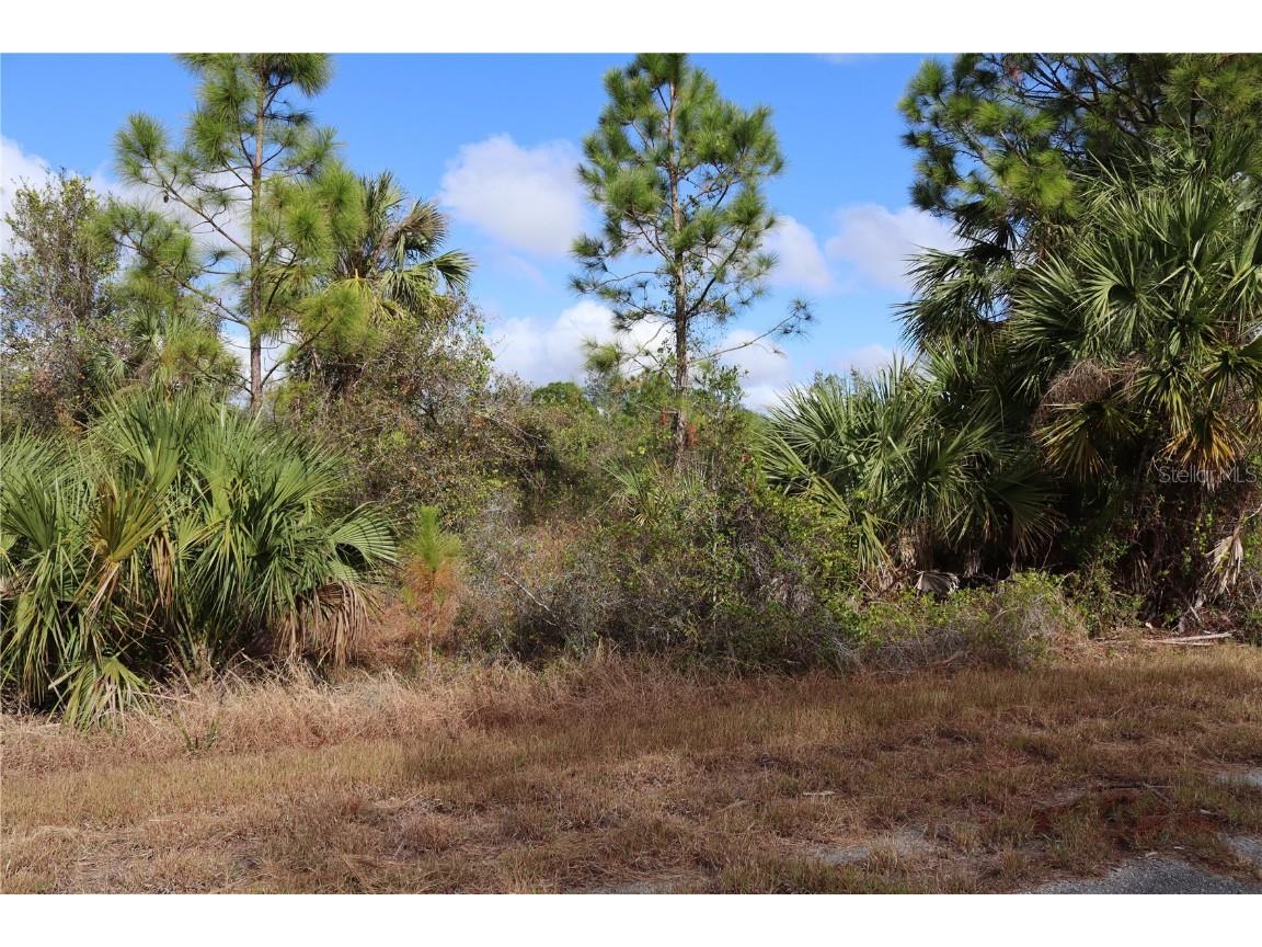 Patriot Circle North Port FL 34288 C7502109 image4