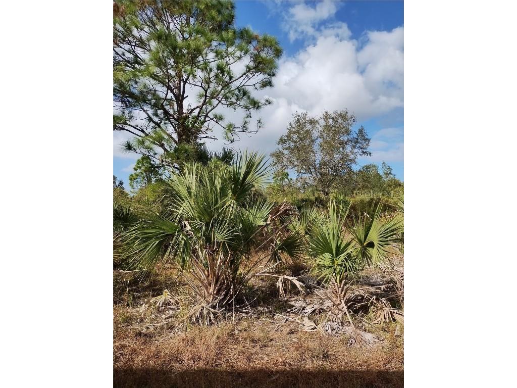 Patriot Circle North Port FL 34288 C7502109 image5