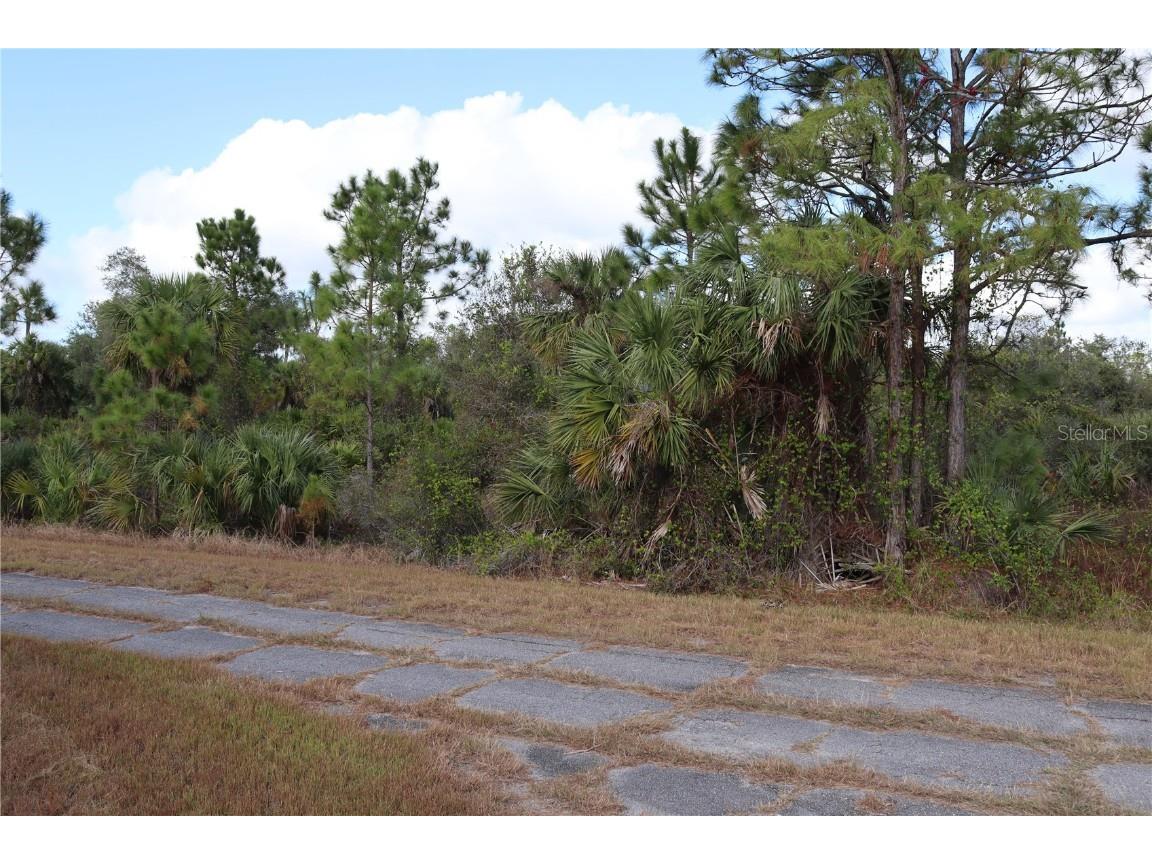 Patriot Circle North Port FL 34288 C7502109 image6