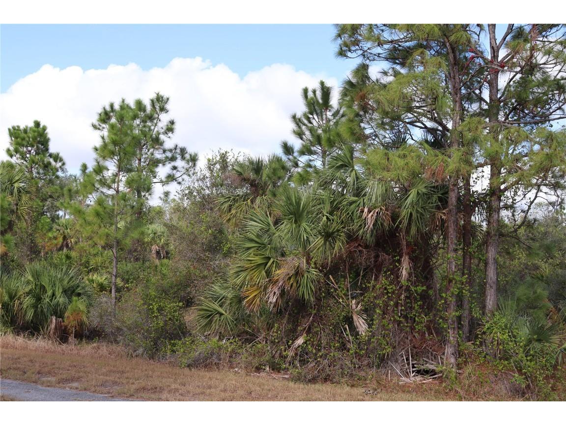 Patriot Circle North Port FL 34288 C7502109 image7