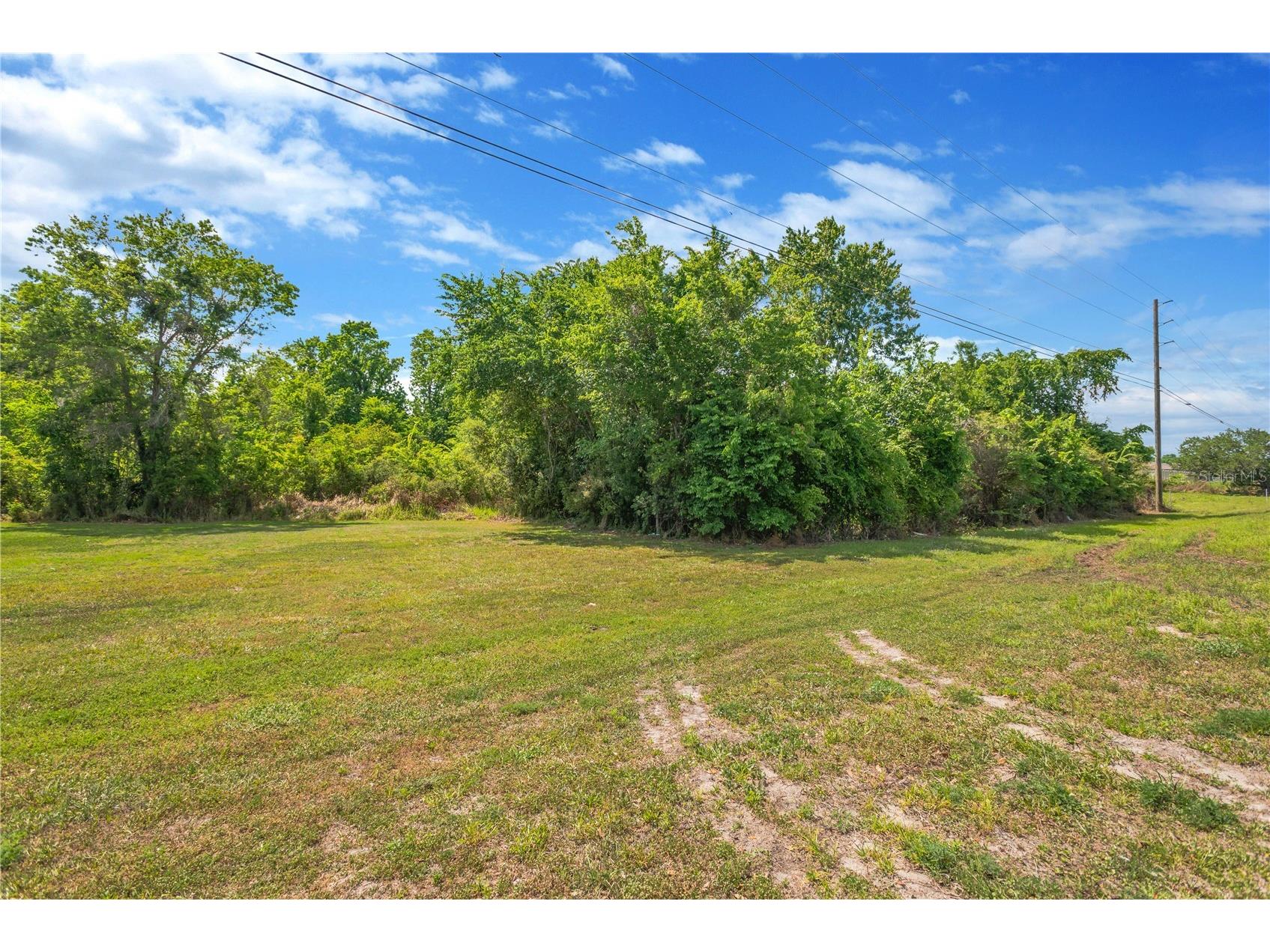 Paul S Buchman Hwy Zephyrhills FL 33540 TB8490898 image14