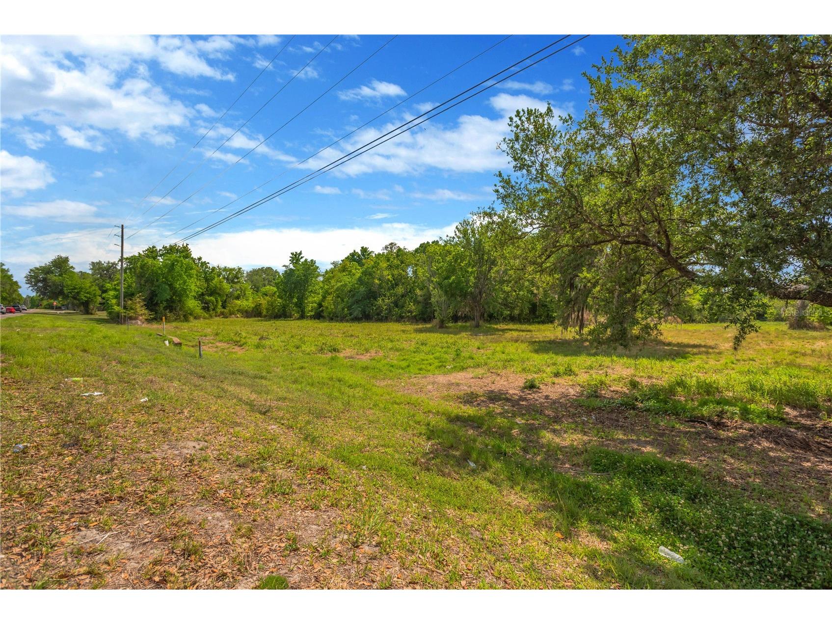 Paul S Buchman Hwy Zephyrhills FL 33540 TB8490898 image15