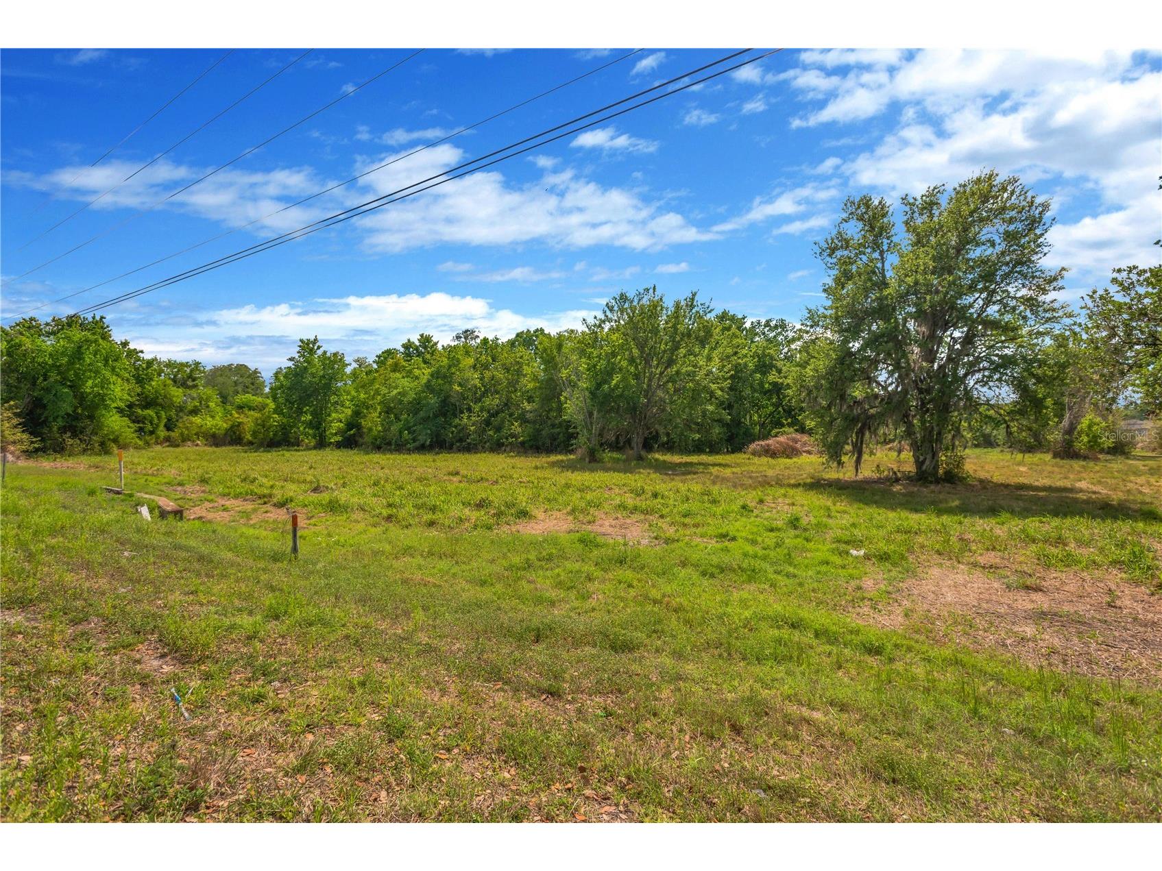 Paul S Buchman Hwy Zephyrhills FL 33540 TB8490898 image16