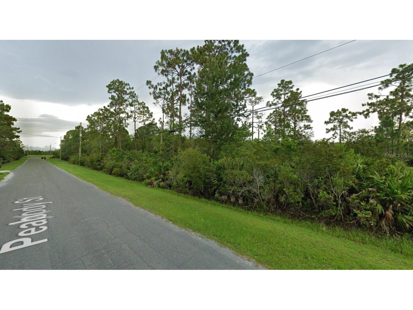 Peabody Street Orlando FL 32833 V4944200 image3