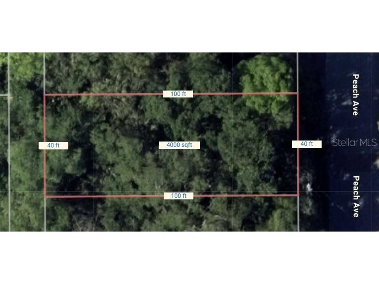 Peach Avenue Sanford FL 32771 O6397002 image2