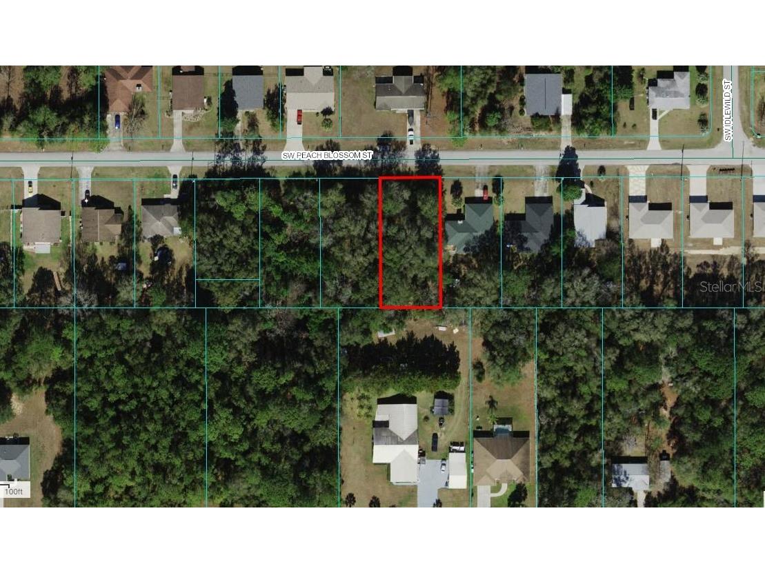 Peach Blossom Street Dunnellon FL 34431 OM676016 image1