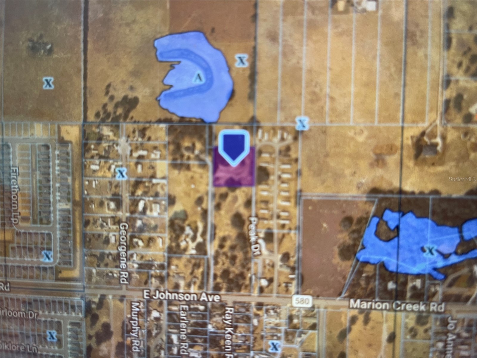 Peak Drive Haines City FL 33844 S5146081 image4