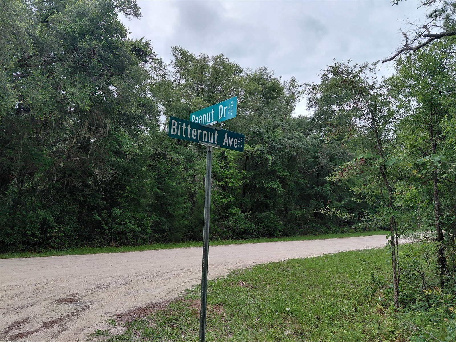 Peanut Drive Webster FL 33597 G5113228 image1