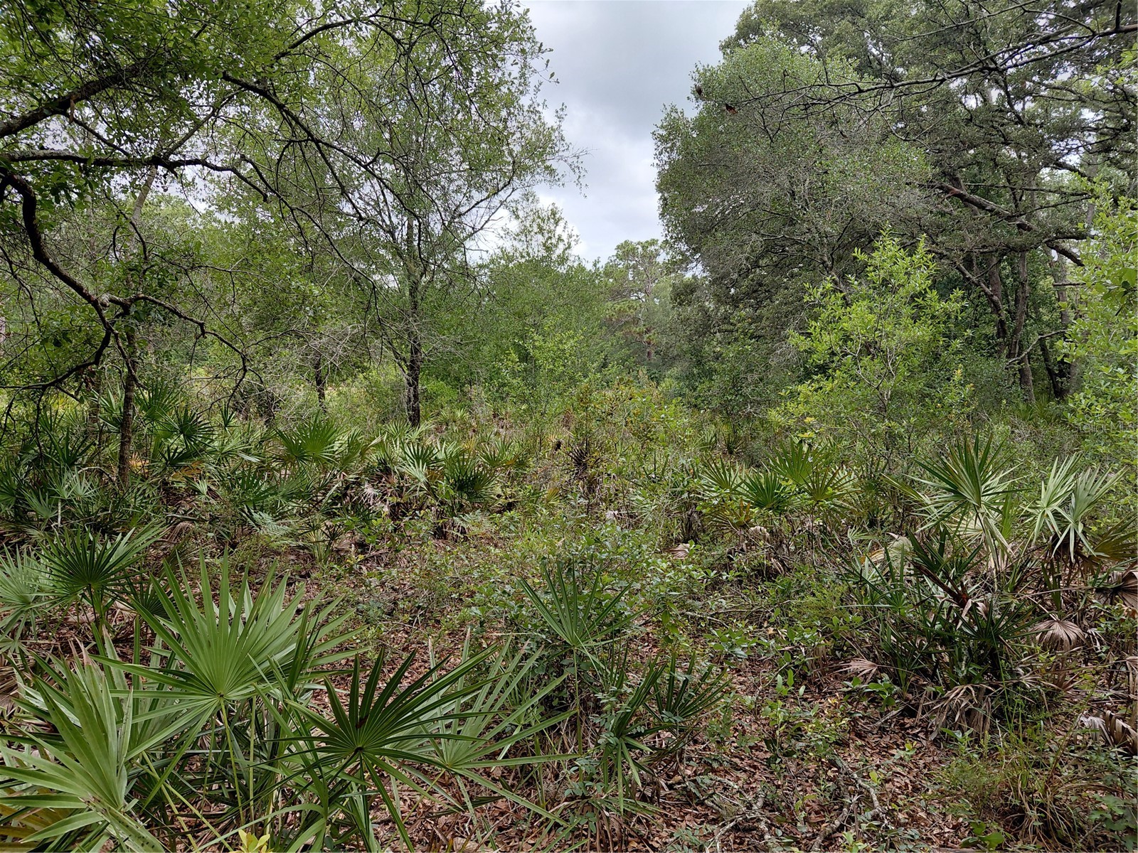 Peanut Drive Webster FL 33597 G5113228 image10