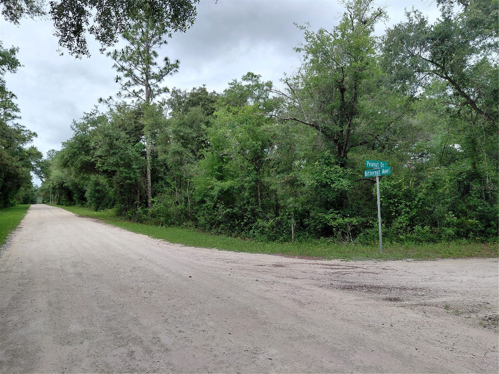 Peanut Drive Webster FL 33597 G5113228 image19