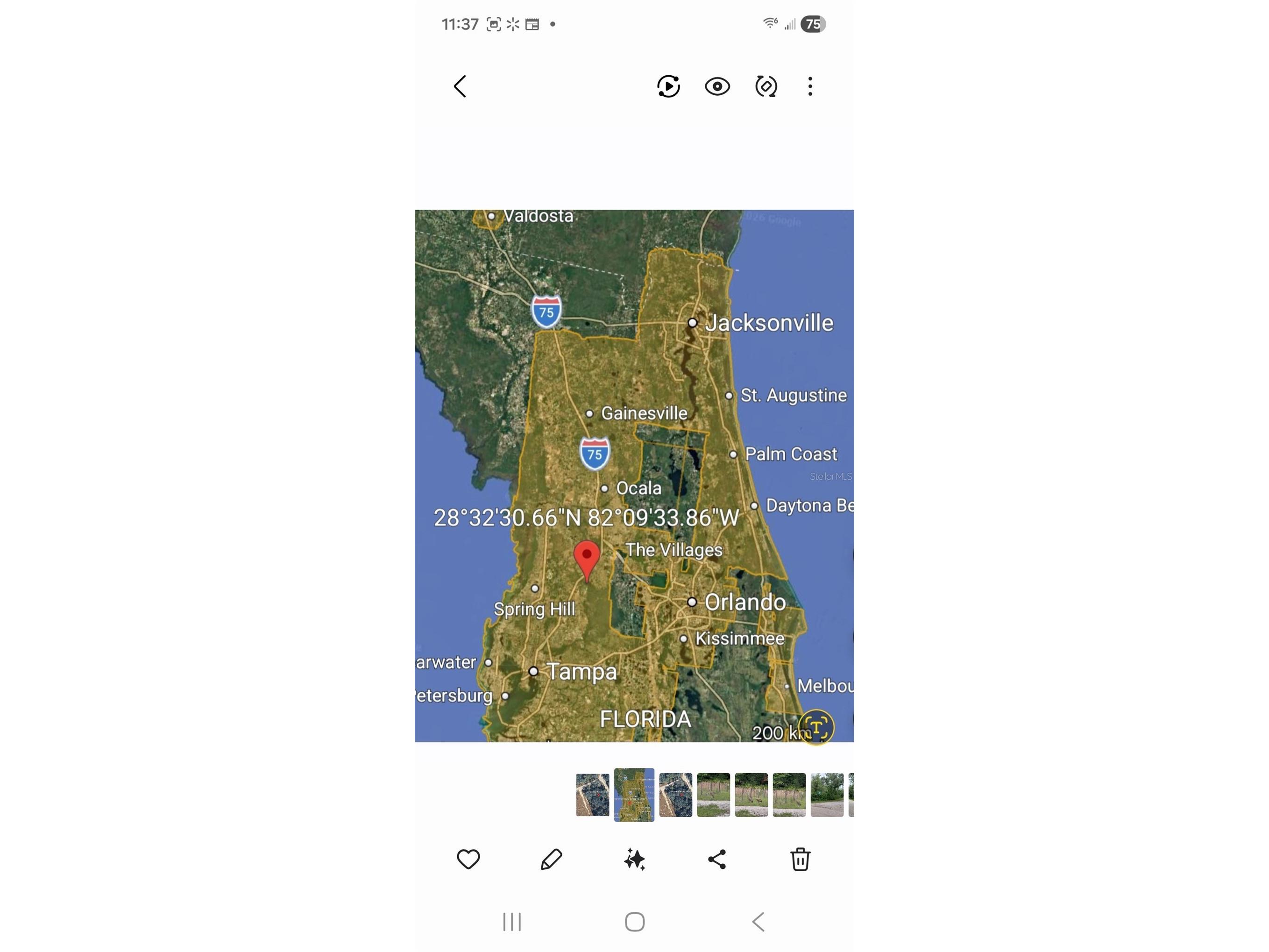 Peanut Drive Webster FL 33597 G5113228 image20