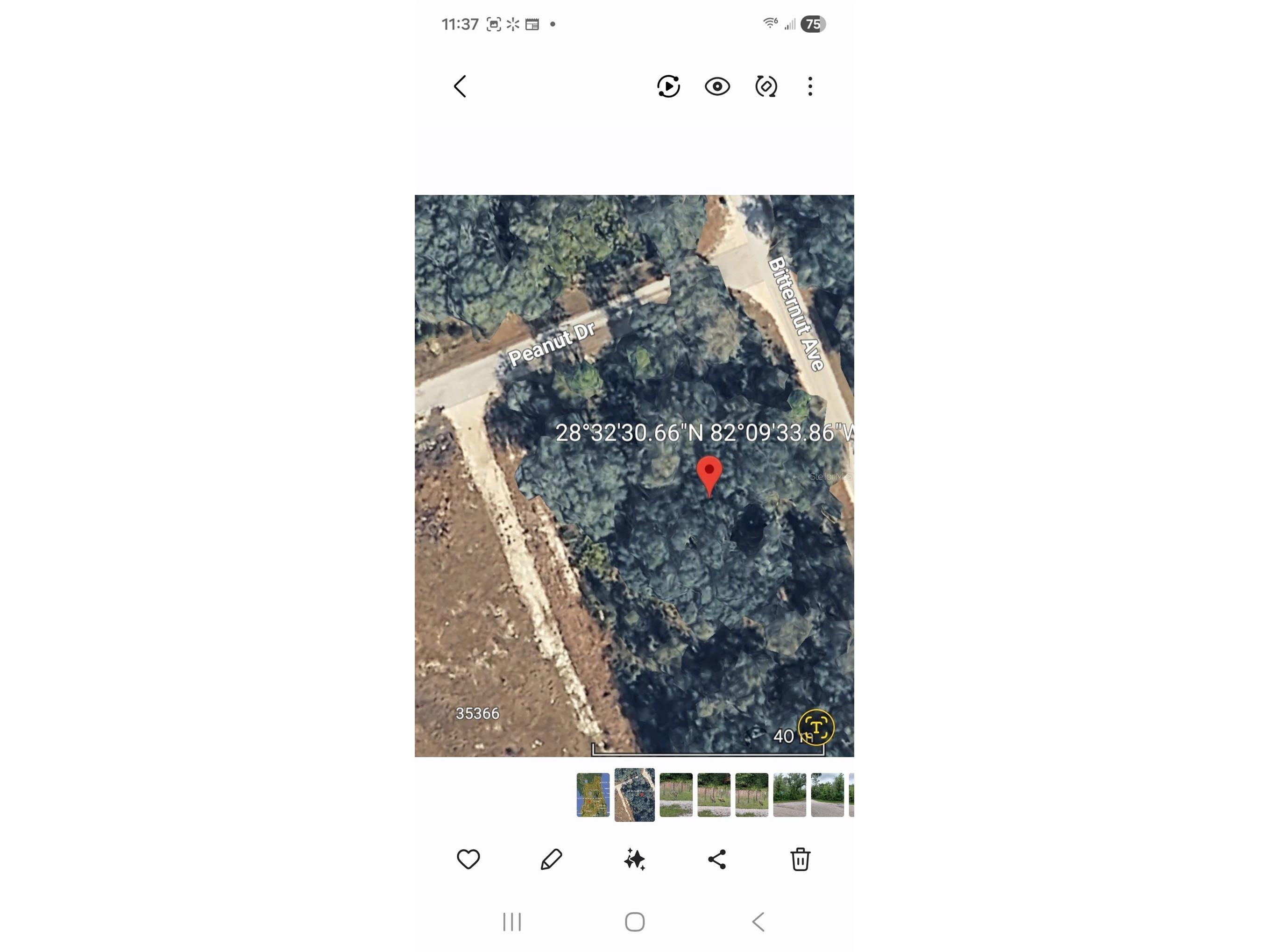 Peanut Drive Webster FL 33597 G5113228 image21