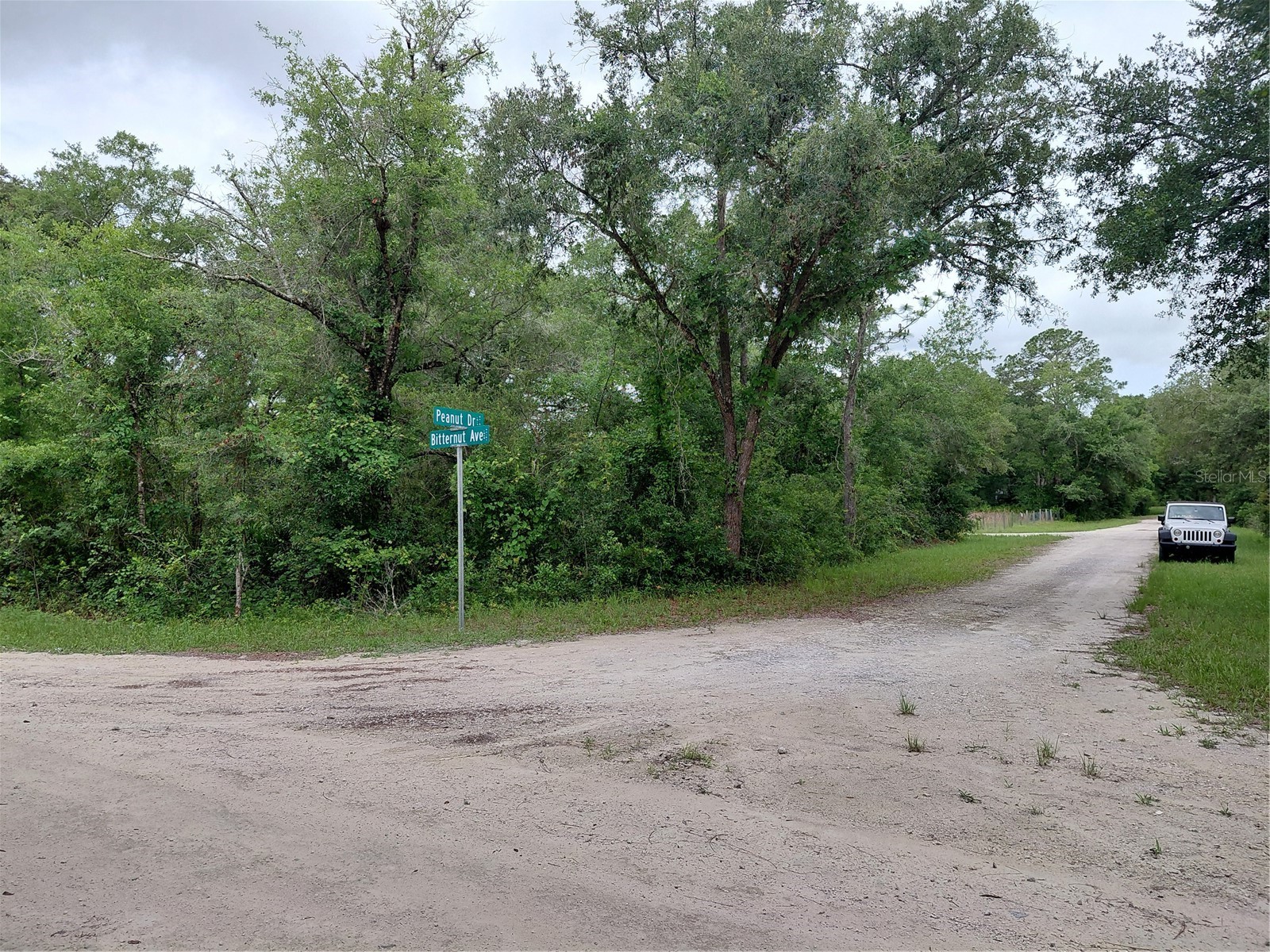 Peanut Drive Webster FL 33597 G5113228 image4