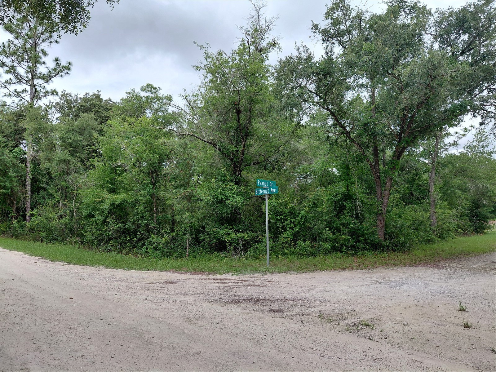 Peanut Drive Webster FL 33597 G5113228 image5