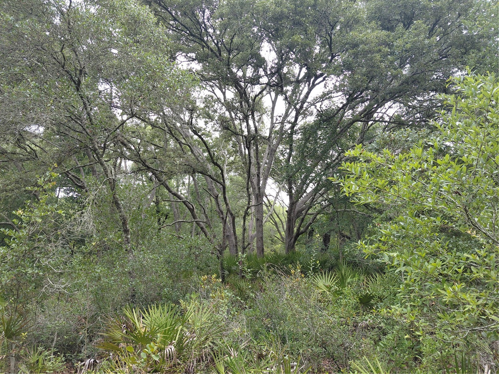 Peanut Drive Webster FL 33597 G5113228 image9