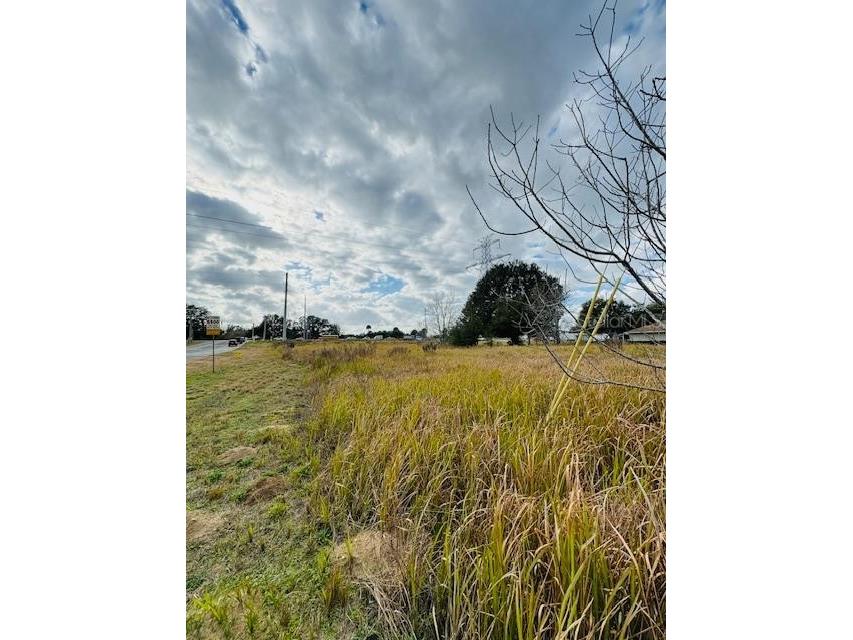 Pecan Crse Ocala FL 34472 O6169402 image1