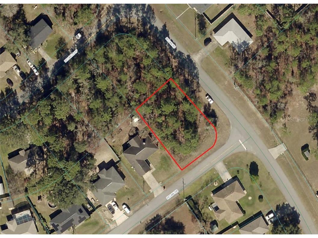 Pecan Drive Ocala FL 34472 OM698651 image1