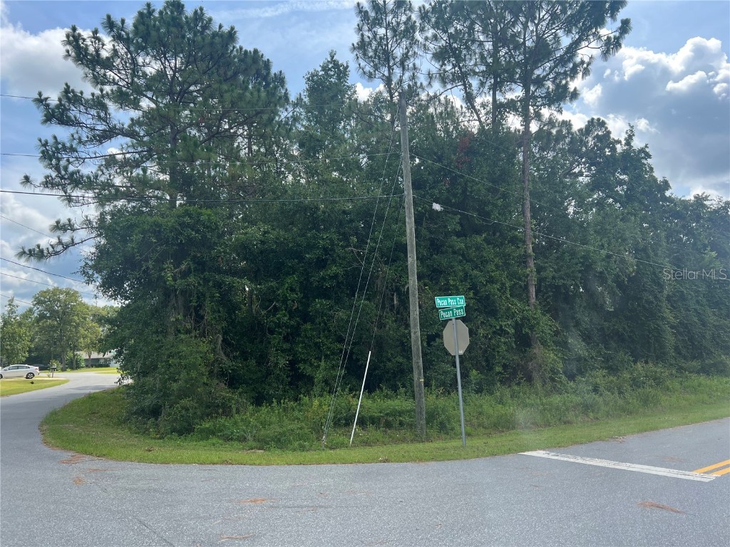 Pecan Pass Course Ocala FL 34472 OM641657 image1