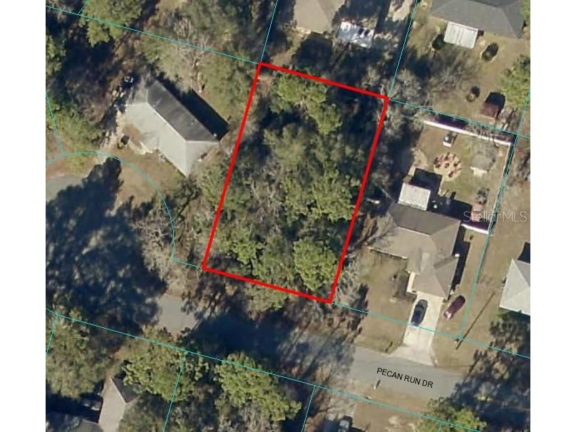 Pecan Run Drive Ocala FL 34472 OM665321 image1