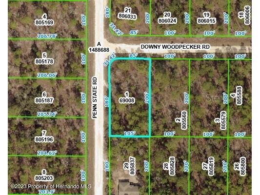 Penn State Road Weeki Wachee FL 34614 W7863340 image1