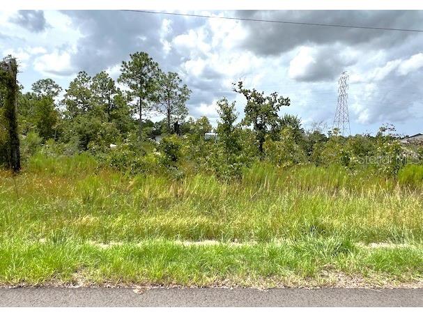 Penn State Road Weeki Wachee FL 34614 O6235895 image1