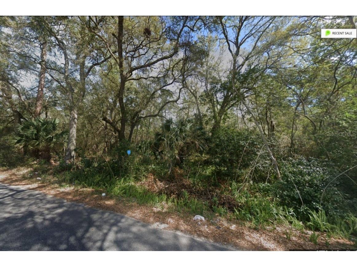 Pennsylvania Street Paisley FL 32767 A4574366 image1