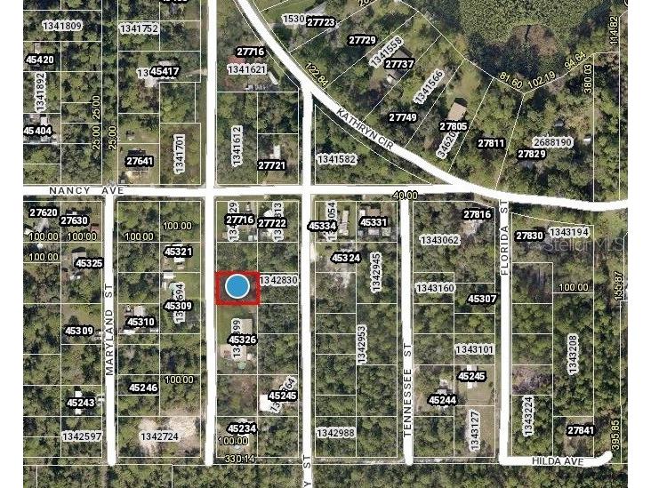 Pennsylvania Street Paisley FL 32767 V4934358 image1