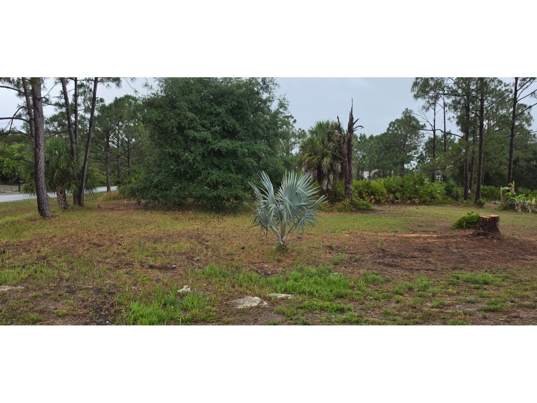 LOT 41 Perennial Road North Port FL 34291 TB8511660 image4