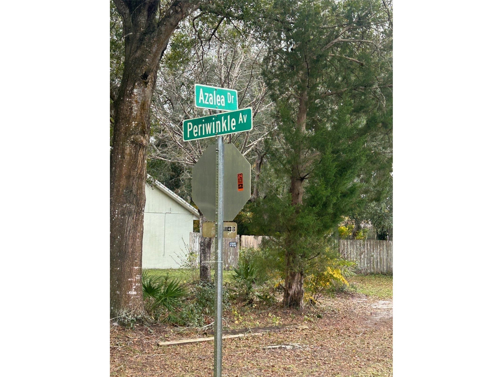 Periwinkle Drive Deland FL 32724 V4946768 image4