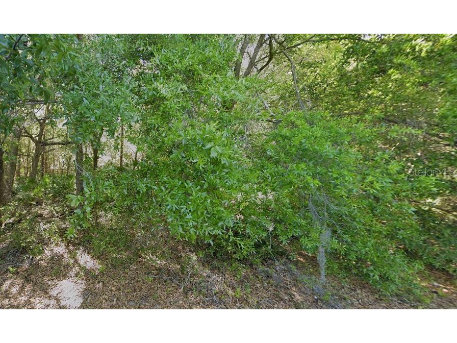 Pershing Avenue Orlando FL 32822 J986863 image1