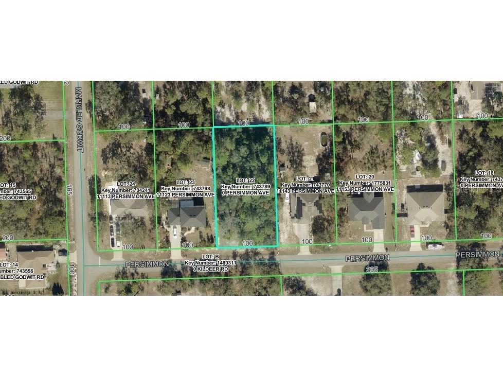 Persimmon Avenue Weeki Wachee FL 34614 OM727853 image2