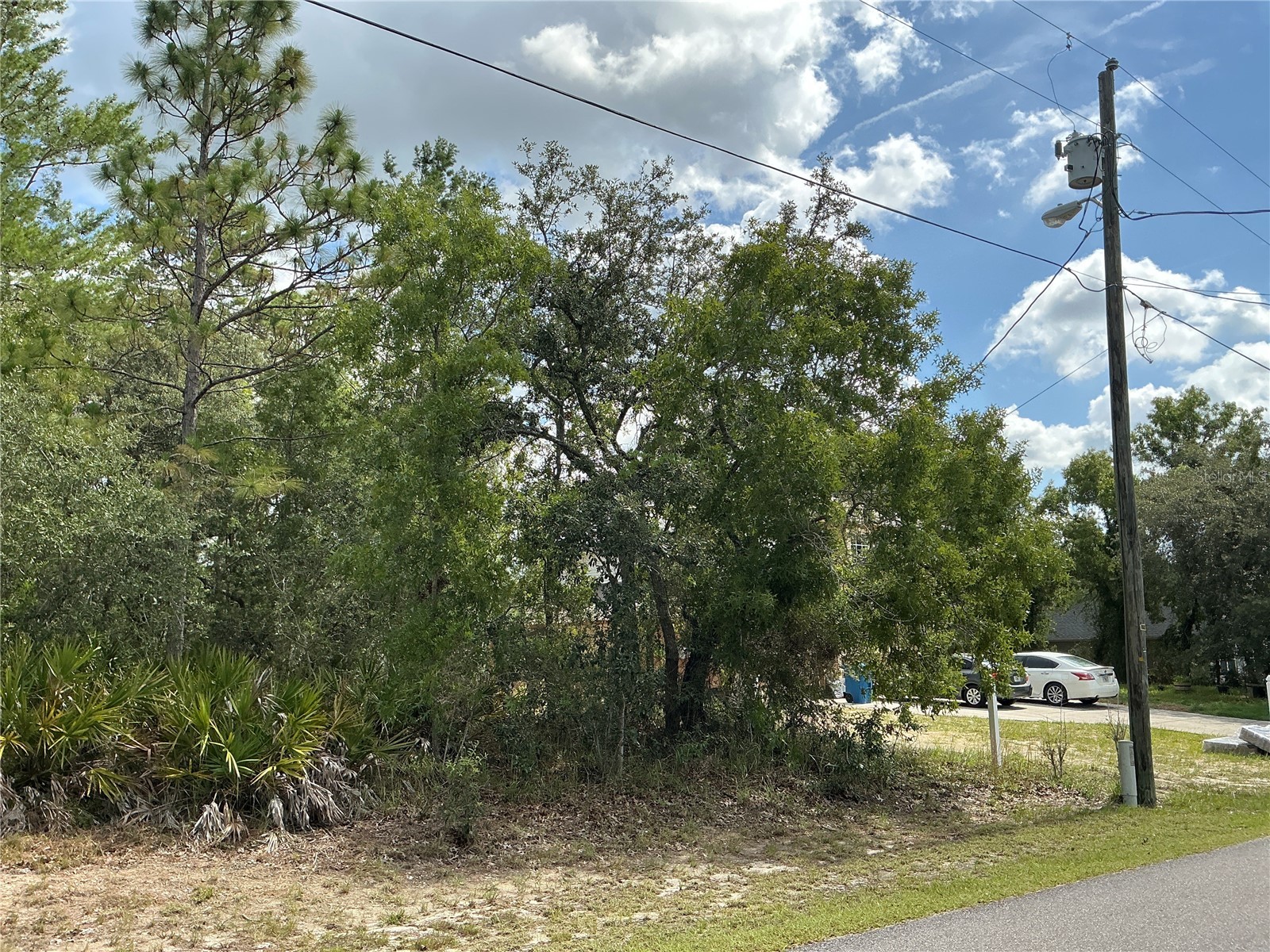 Persimmon Avenue Weeki Wachee FL 34614 OM727853 image4