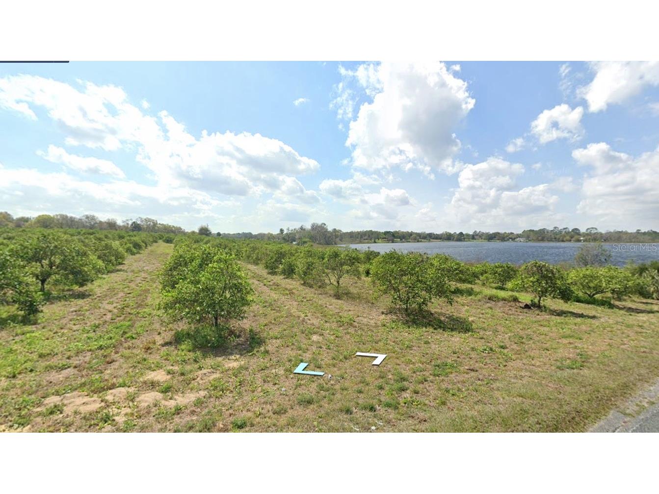 Peru Road Umatilla FL 32784 - LAKE OWEN O6170333 image1