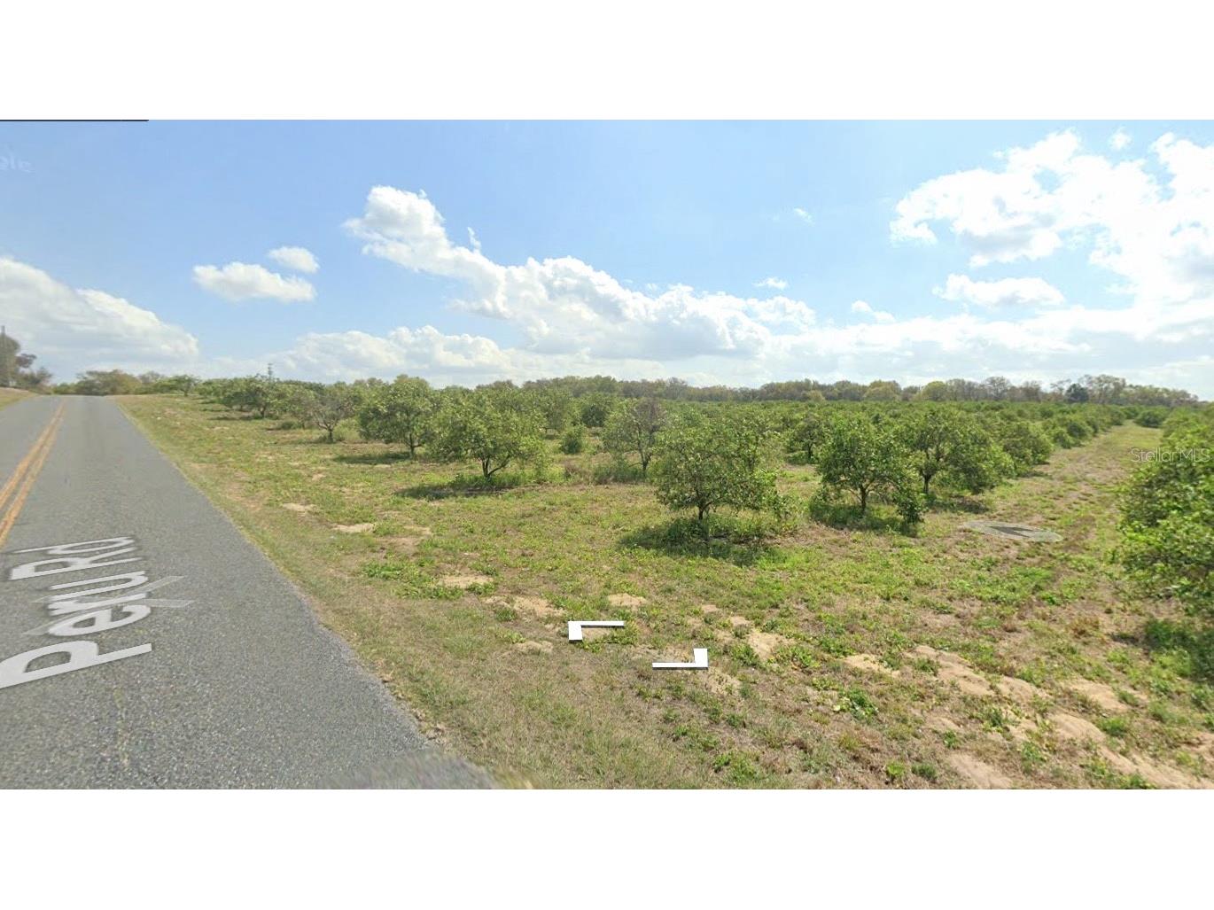 Peru Road Umatilla FL 32784 - LAKE OWEN O6170333 image3