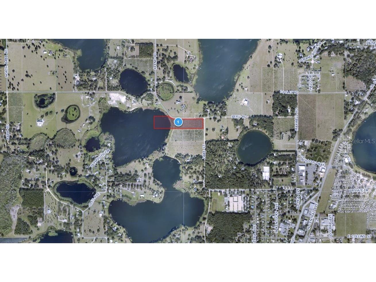 Peru Road Umatilla FL 32784 - LAKE OWEN O6170333 image4